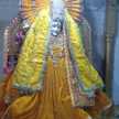 Diya Rathi