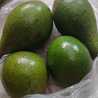 Yunita Balkiss Yunita Balkiss