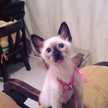 Fanny Rocha Yepez