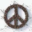 Asenk Peace