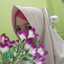 Ummi Lia Rahmawati