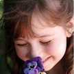 Nes Abd