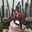 Dian Bunga Amalia