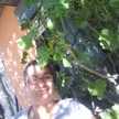 Katiana Morel