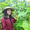 Mellisa Primadana
