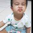 Papi King Koil