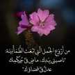 ام حبيب الله