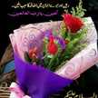 Ayesha Siddiqa