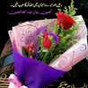 Ayesha Siddiqa