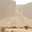 الرياض