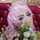 Tati Haryani Rizwanidral Tati Haryani Rizwanidral