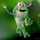 Frogy