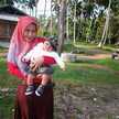 Iin Indrayanni