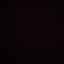 S.P