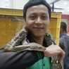 Riandieka Likegreen Riandieka Likegreen