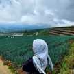 Dapurnya Yuanita