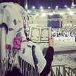 Syeda Sameeta