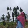 Aulia Hesty