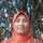 Farida Farida