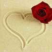 Roses Smail
