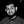 Salem Mohammed Iswery