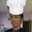 home chef taksh r bhandari