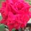 Rahma Kitchen 