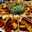 Mexico_de_Mis_Sabores_