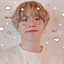 chan hee찬희