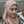 Novita Firdaus