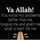 Fatima Hassan Fatima Hassan