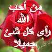 عليا علي