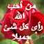 عليا علي