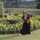 Dian Ulya Aprilia Dian Ulya Aprilia