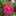 aliza debby aliza debby