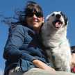 Magui