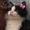 ִֶָ𓂃 ࣪ki๓iiii𓂃 ࣪˖ ִֶָ🐇་༘࿐