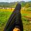Ummu Musyaffa'