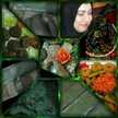 gihan AbdElhady