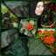 gihan AbdElhady