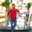 Kushal Agarwal