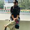 Farheen Naaz Farheen Naaz