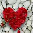 Soumya Salil