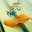 Haitham Sayed