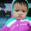 Dhita normaliza