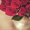 فيوووووشه