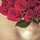 فيوووووشه فيوووووشه