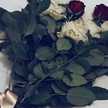 h.miido_27