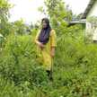 Fitri Kurnia