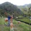 renide12
